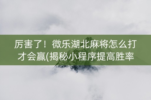 厉害了！微乐湖北麻将怎么打才会赢(揭秘小程序提高胜率)