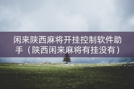 闲来陕西麻将开挂控制软件助手（陕西闲来麻将有挂没有）