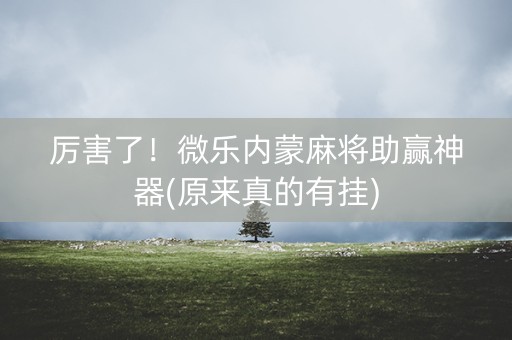 厉害了！微乐内蒙麻将助赢神器(原来真的有挂)