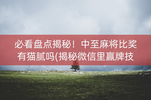 必看盘点揭秘！中至麻将比奖有猫腻吗(揭秘微信里赢牌技巧)