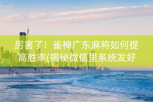 厉害了！雀神广东麻将如何提高胜率(揭秘微信里系统发好牌)