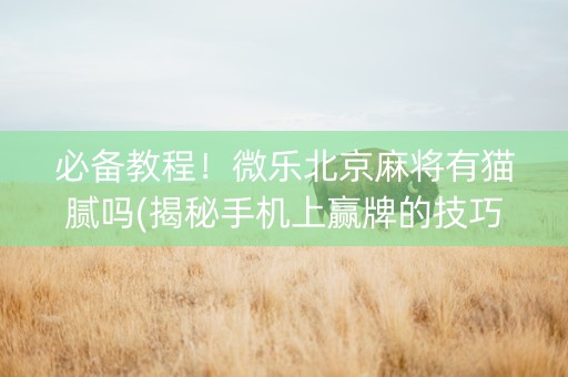 必备教程！微乐北京麻将有猫腻吗(揭秘手机上赢牌的技巧)