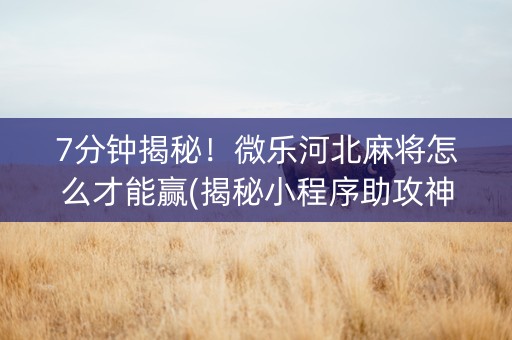 7分钟揭秘！微乐河北麻将怎么才能赢(揭秘小程序助攻神器)