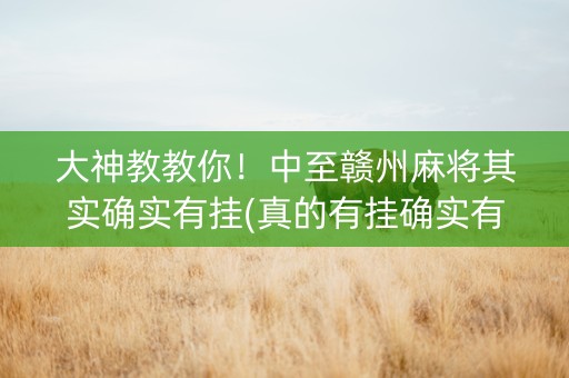 大神教教你！中至赣州麻将其实确实有挂(真的有挂确实有挂)
