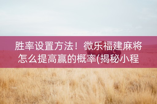 胜率设置方法！微乐福建麻将怎么提高赢的概率(揭秘小程序胜率到哪调)