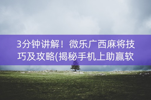 3分钟讲解！微乐广西麻将技巧及攻略(揭秘手机上助赢软件)