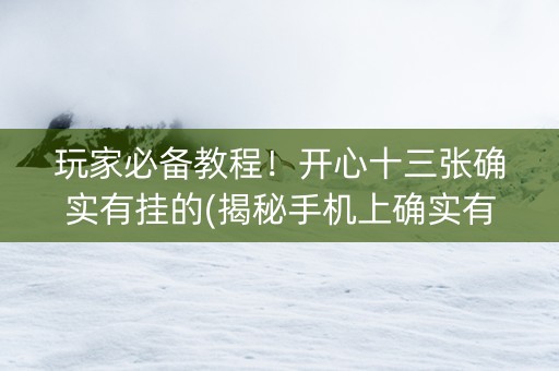 玩家必备教程！开心十三张确实有挂的(揭秘手机上确实有猫腻)