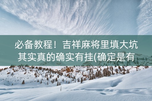 必备教程！吉祥麻将里填大坑其实真的确实有挂(确定是有挂)