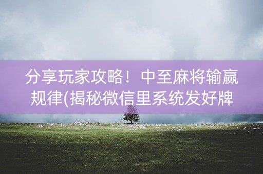 分享玩家攻略！中至麻将输赢规律(揭秘微信里系统发好牌)