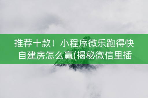 推荐十款！小程序微乐跑得快自建房怎么赢(揭秘微信里插件免费)