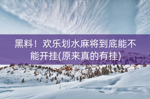 黑料！欢乐划水麻将到底能不能开挂(原来真的有挂)