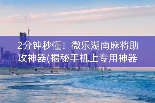 2分钟秒懂！微乐湖南麻将助攻神器(揭秘手机上专用神器)