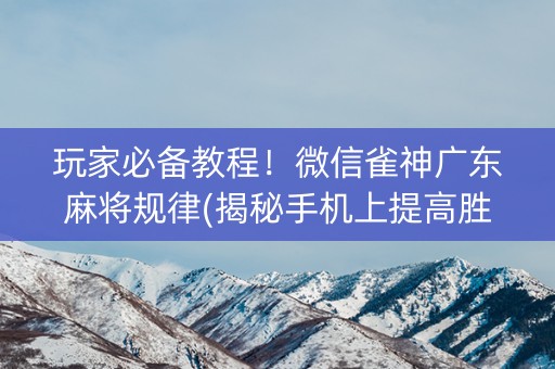 玩家必备教程！微信雀神广东麻将规律(揭秘手机上提高胜率)
