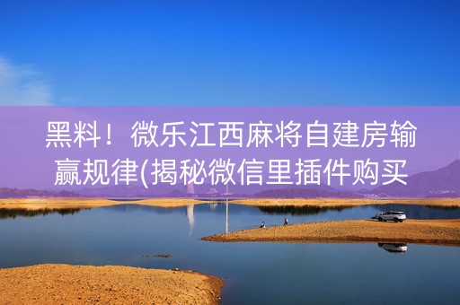 黑料！微乐江西麻将自建房输赢规律(揭秘微信里插件购买)