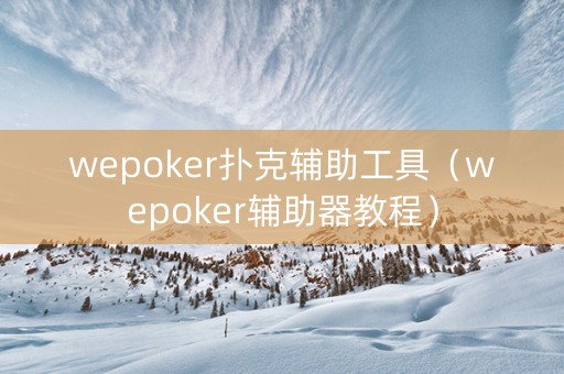 wepoker扑克辅助工具（wepoker辅助器教程）