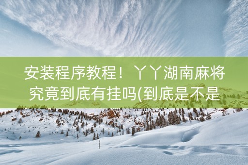 安装程序教程！丫丫湖南麻将究竟到底有挂吗(到底是不是有挂)
