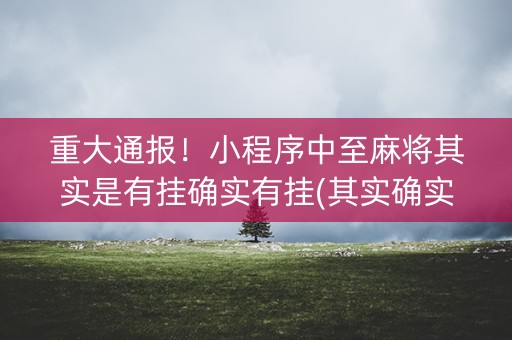 重大通报！小程序中至麻将其实是有挂确实有挂(其实确实有挂)