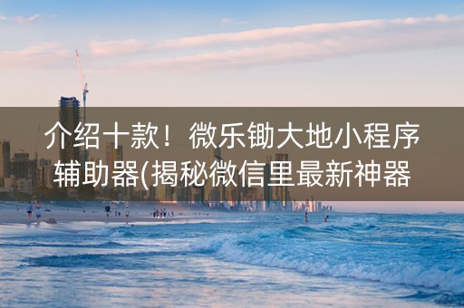 介绍十款！微乐锄大地小程序辅助器(揭秘微信里最新神器下载)