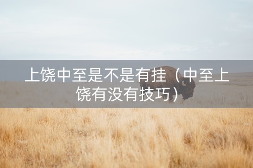 上饶中至是不是有挂（中至上饶有没有技巧）