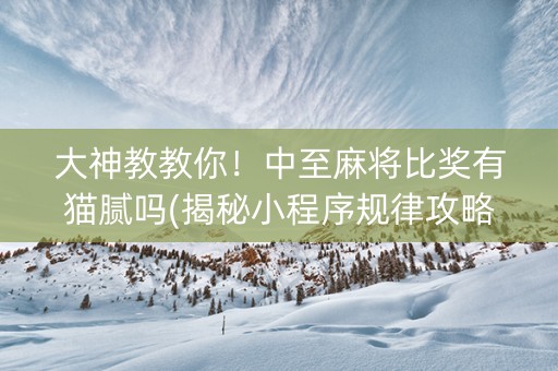 大神教教你！中至麻将比奖有猫腻吗(揭秘小程序规律攻略)