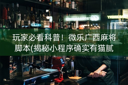 玩家必看科普！微乐广西麻将脚本(揭秘小程序确实有猫腻)
