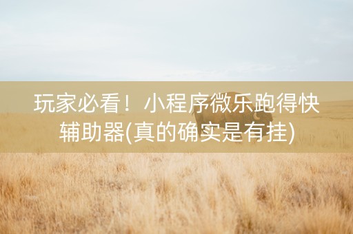 玩家必看！小程序微乐跑得快辅助器(真的确实是有挂)