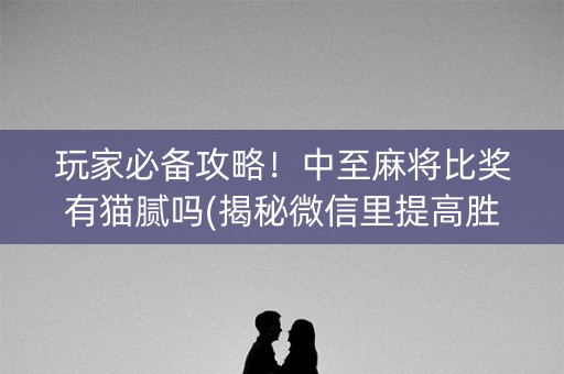 玩家必备攻略！中至麻将比奖有猫腻吗(揭秘微信里提高胜率)