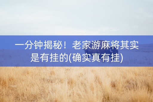 一分钟揭秘！老家游麻将其实是有挂的(确实真有挂)