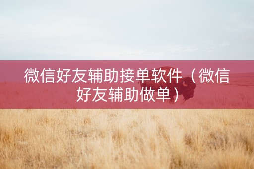 微信好友辅助接单软件（微信好友辅助做单）