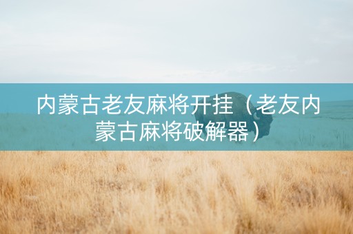 内蒙古老友麻将开挂（老友内蒙古麻将破解器）