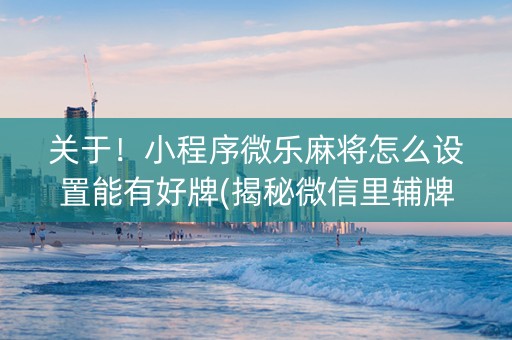 关于！小程序微乐麻将怎么设置能有好牌(揭秘微信里辅牌器)