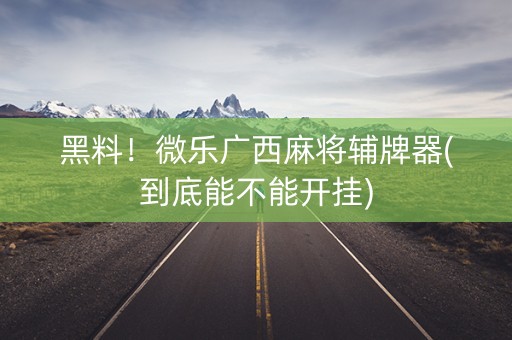 黑料！微乐广西麻将辅牌器(到底能不能开挂)