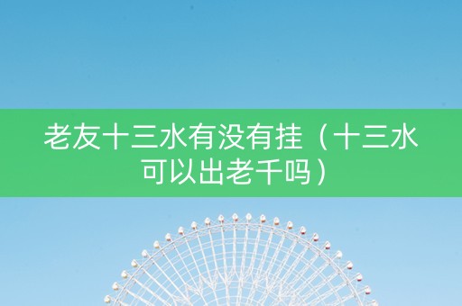 老友十三水有没有挂（十三水可以出老千吗）
