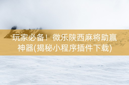 玩家必备！微乐陕西麻将助赢神器(揭秘小程序插件下载)