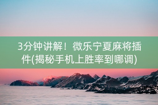3分钟讲解！微乐宁夏麻将插件(揭秘手机上胜率到哪调)