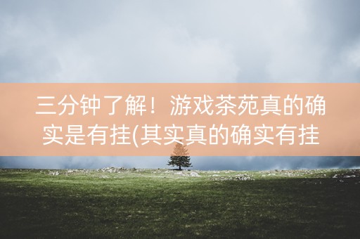 三分钟了解！游戏茶苑真的确实是有挂(其实真的确实有挂)