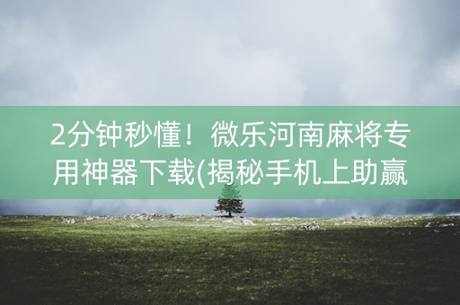 2分钟秒懂！微乐河南麻将专用神器下载(揭秘手机上助赢神器)