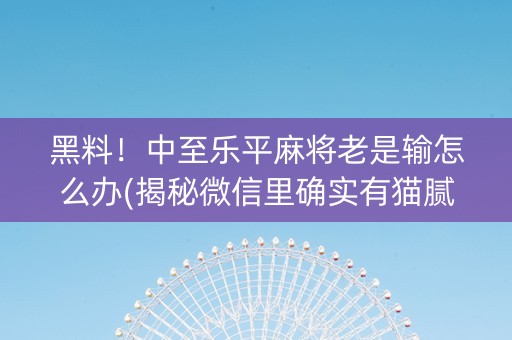 黑料！中至乐平麻将老是输怎么办(揭秘微信里确实有猫腻)