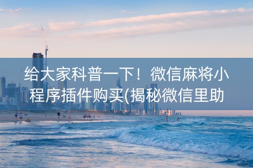 给大家科普一下！微信麻将小程序插件购买(揭秘微信里助攻神器)
