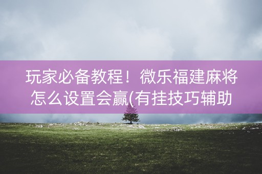 玩家必备教程！微乐福建麻将怎么设置会赢(有挂技巧辅助器)