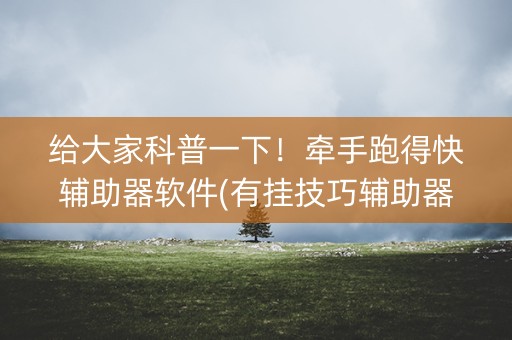 给大家科普一下！牵手跑得快辅助器软件(有挂技巧辅助器)