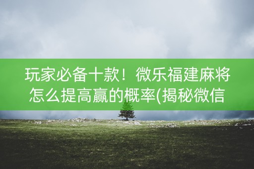 玩家必备十款！微乐福建麻将怎么提高赢的概率(揭秘微信里攻略插件)