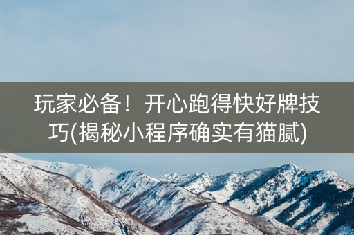 玩家必备！开心跑得快好牌技巧(揭秘小程序确实有猫腻)
