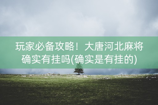 玩家必备攻略！大唐河北麻将确实有挂吗(确实是有挂的)