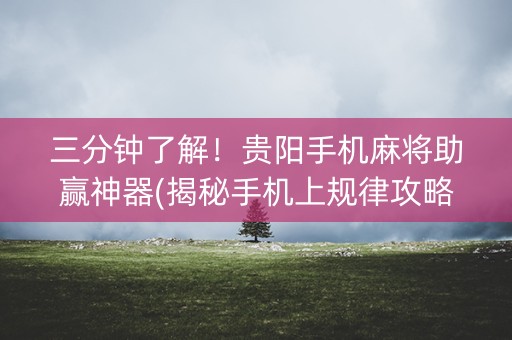 三分钟了解！贵阳手机麻将助赢神器(揭秘手机上规律攻略)