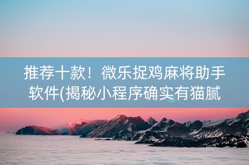 推荐十款！微乐捉鸡麻将助手软件(揭秘小程序确实有猫腻)