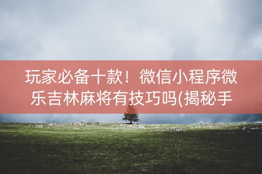 玩家必备十款！微信小程序微乐吉林麻将有技巧吗(揭秘手机上助赢神器)