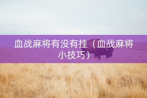 血战麻将有没有挂（血战麻将小技巧）
