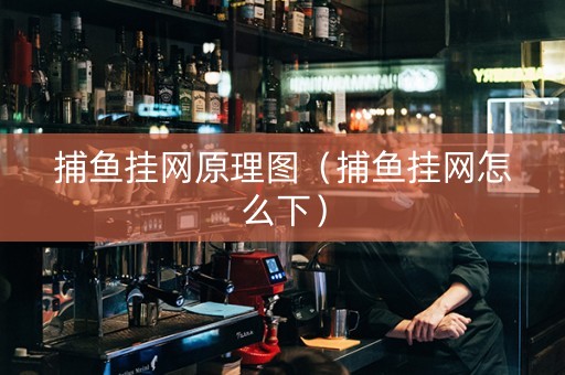 捕鱼挂网原理图（捕鱼挂网怎么下）