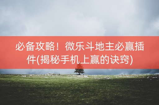 必备攻略！微乐斗地主必赢插件(揭秘手机上赢的诀窍)